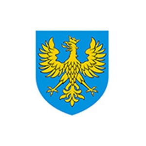 ASY OPOLSKIEGO SPORTU 2024